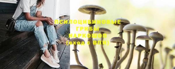 Альфа ПВП Балабаново