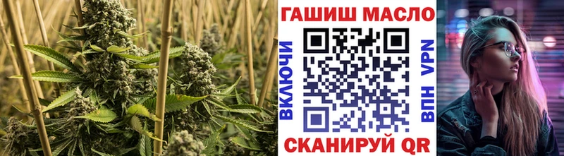 Дистиллят ТГК концентрат  маркетплейс наркотические препараты  Суджа  что такое  